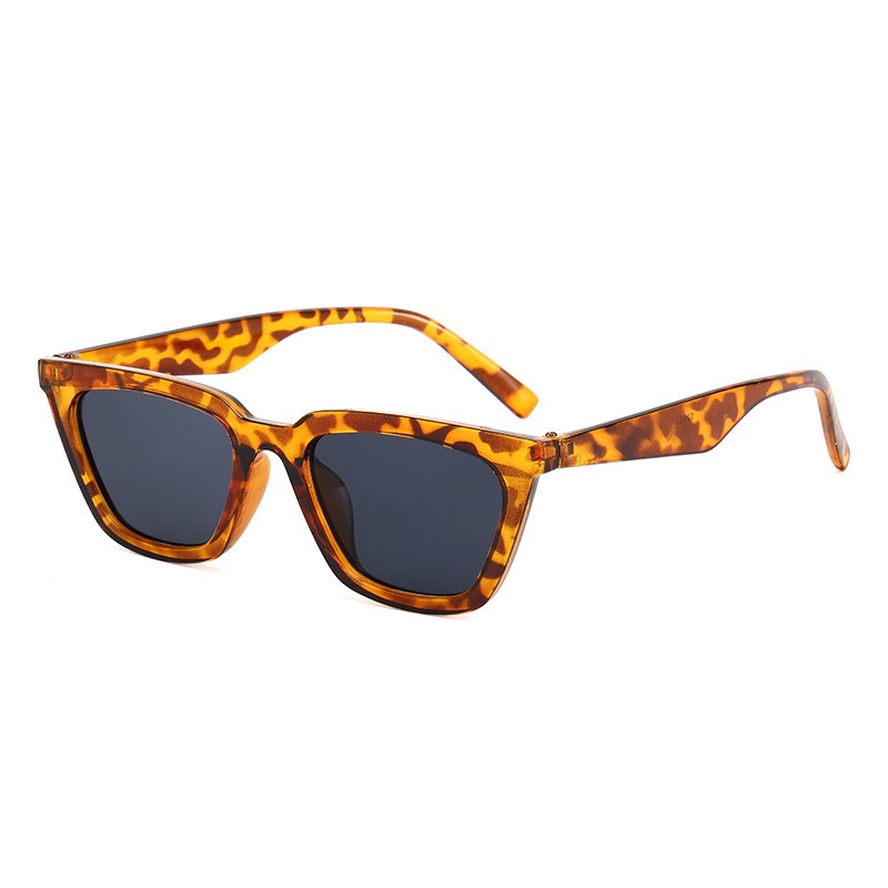 Vintage Leisure Cat Eye Sungla – обзор и цена Sunglasses Cat Eye